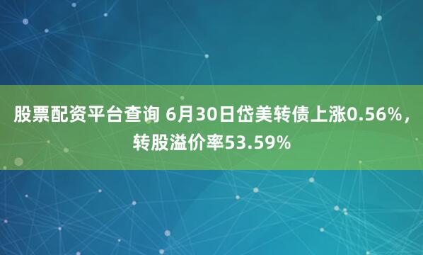股票配资平台查询 6月30日岱美转债上涨0.56%，转股溢价率53.59%